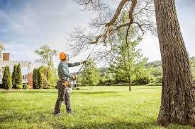 Best Tree Health Inspection  in Jamestown West, NY