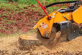 How Our Tree Care Process Works  in  Jamestown West, NY